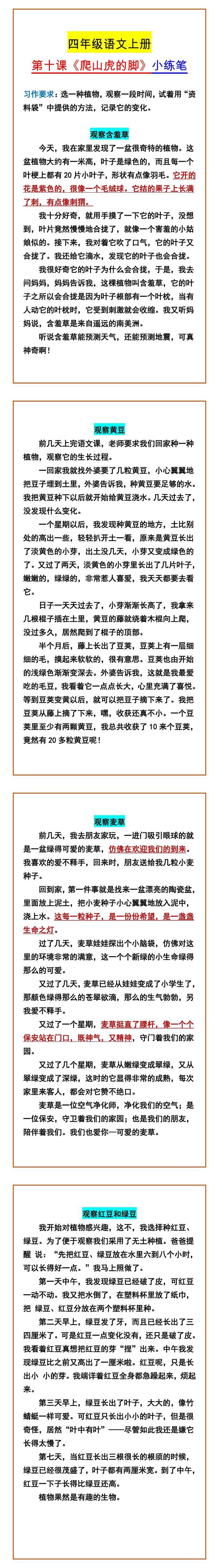 四年级语文上册 第十课《爬山虎的脚》小练笔
