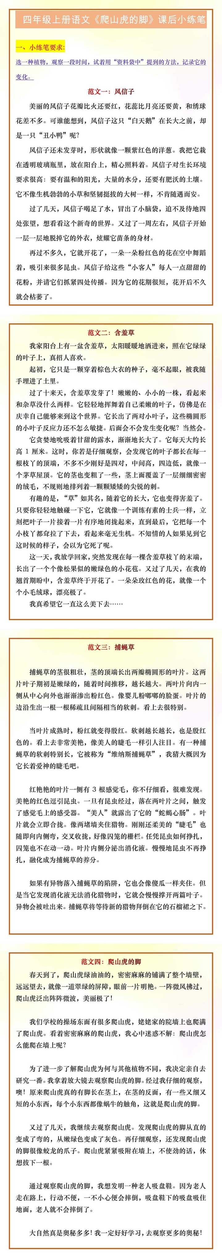 四年级上册语文《爬山虎的脚》课后小练笔