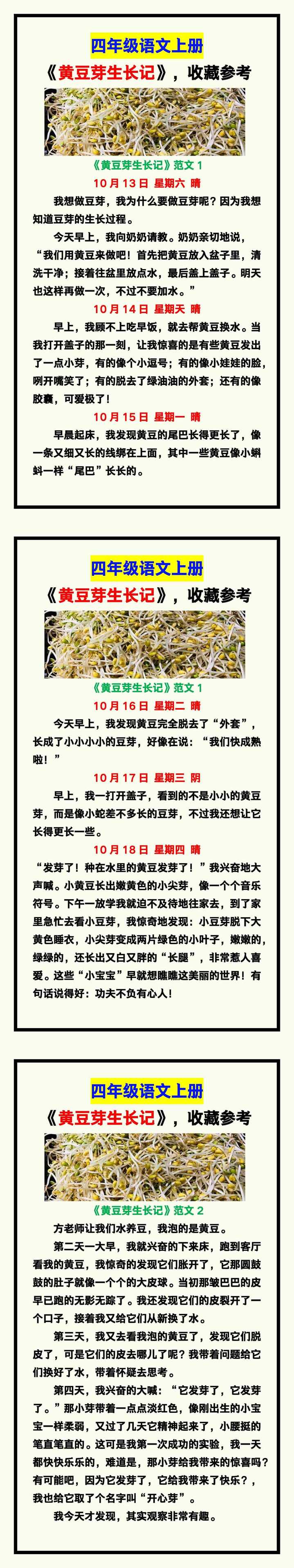 四年级语文上册《黄豆芽生长记》范文，收藏参考！