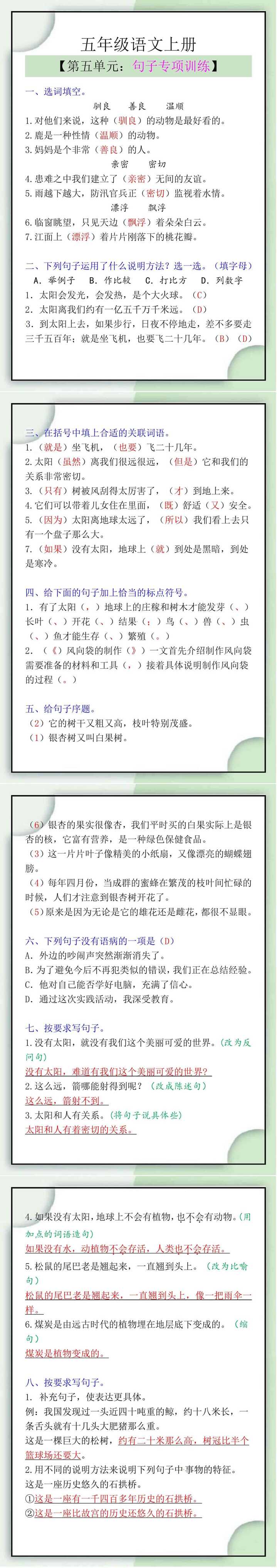 五年级语文上册第五单元句子专项训练