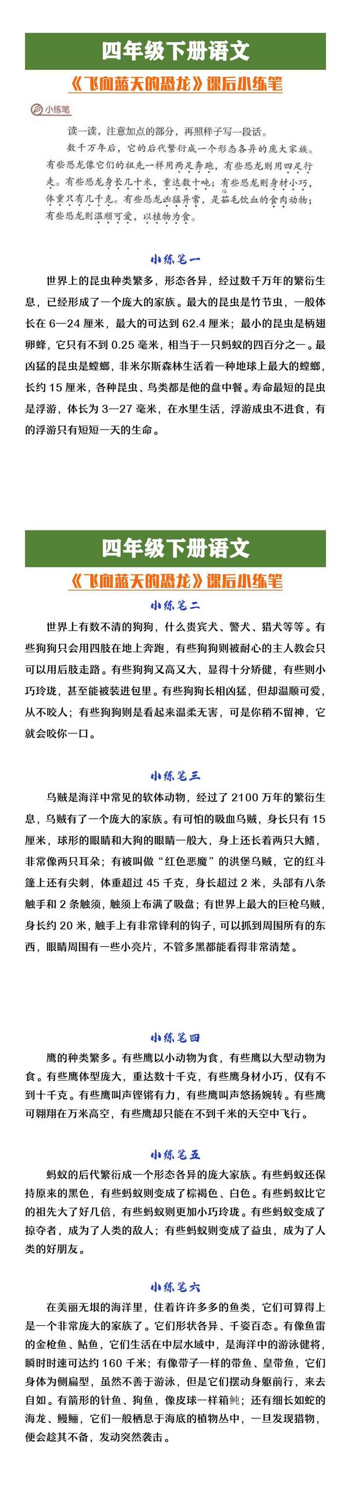 四年级下册语文《飞向蓝天的恐龙》小练笔