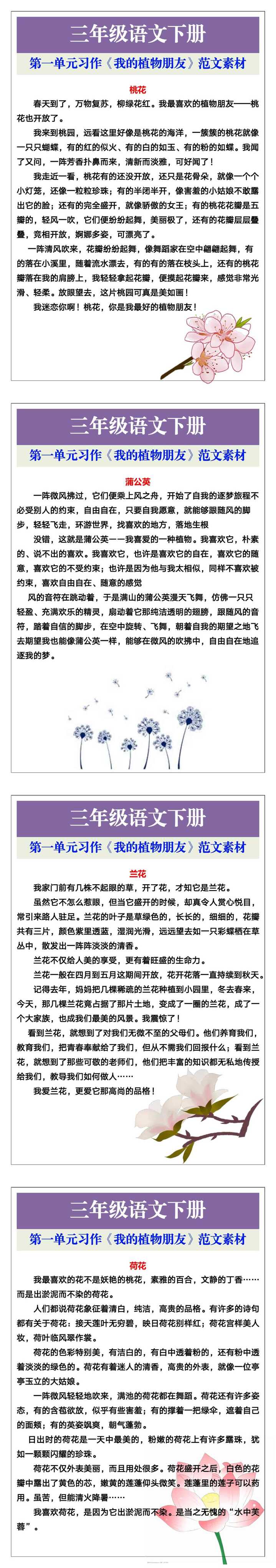 三年级语文下册第一单元习作《我的植物朋友》范文素材
