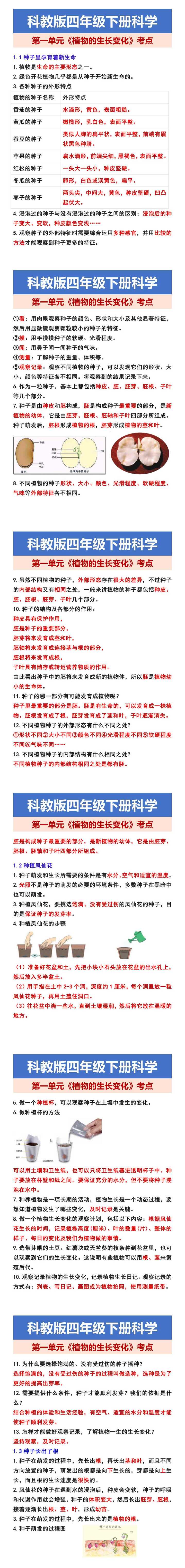 科教版四年级下册科学 第一单元《植物的生长变化》考点