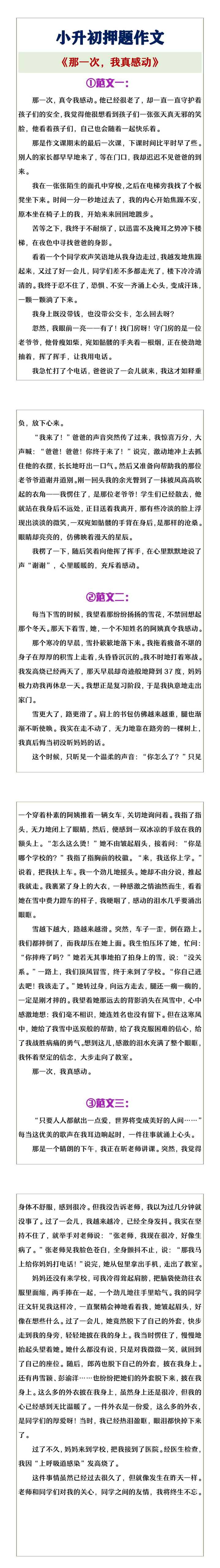 小升初押题作文《那一次，我真感动》