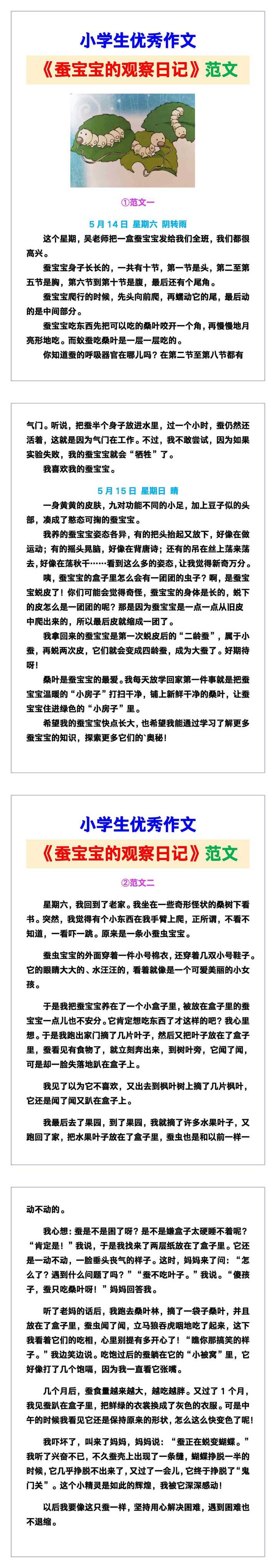 小学生优秀作文《蚕宝宝的观察日记》范文汇总，替孩子保存！