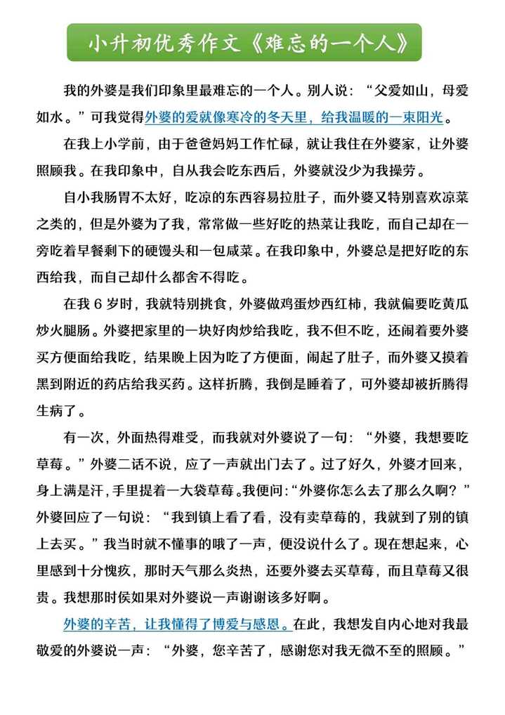 小升初优秀作文《难忘的一个人》