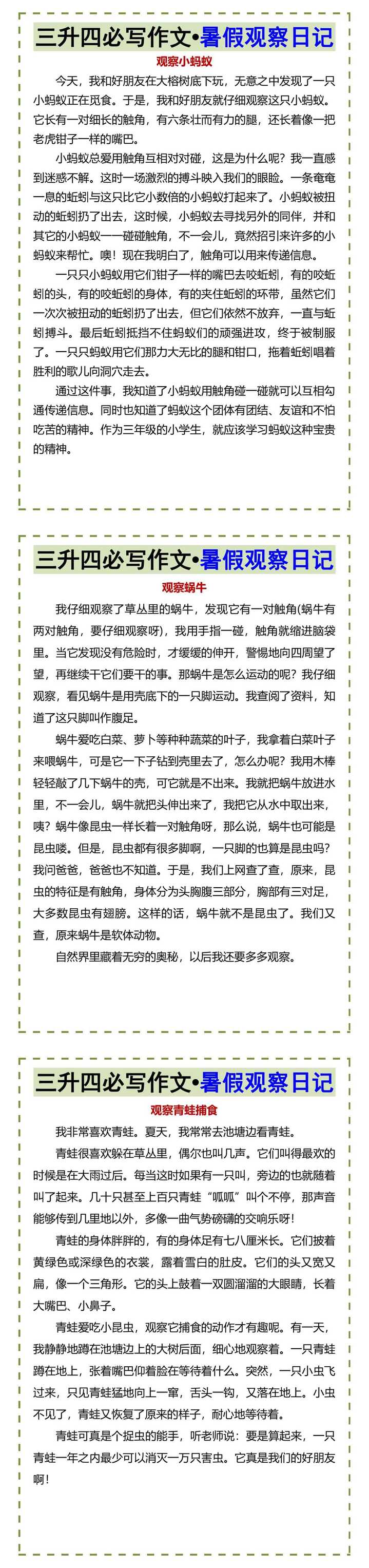 三升四必写作文•暑假观察日记