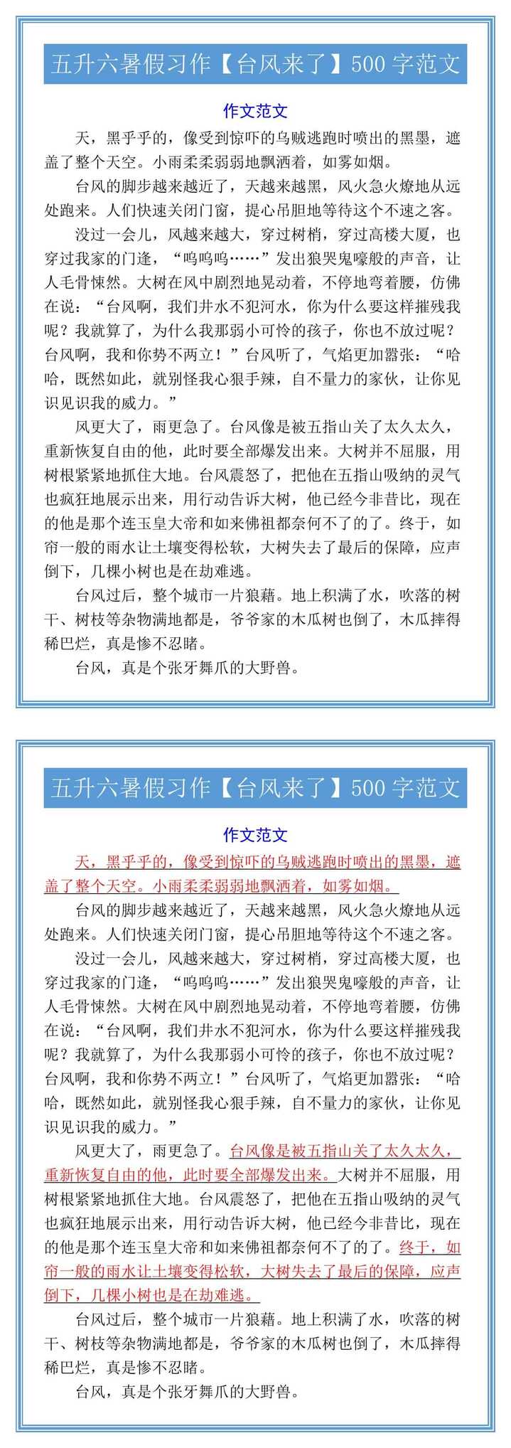 五升六暑假习作【台风来了】500字范文