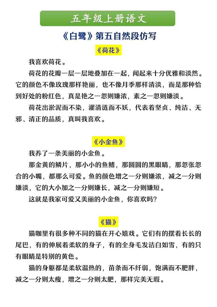 五年级上册语文 《白鹭》第五自然段仿写