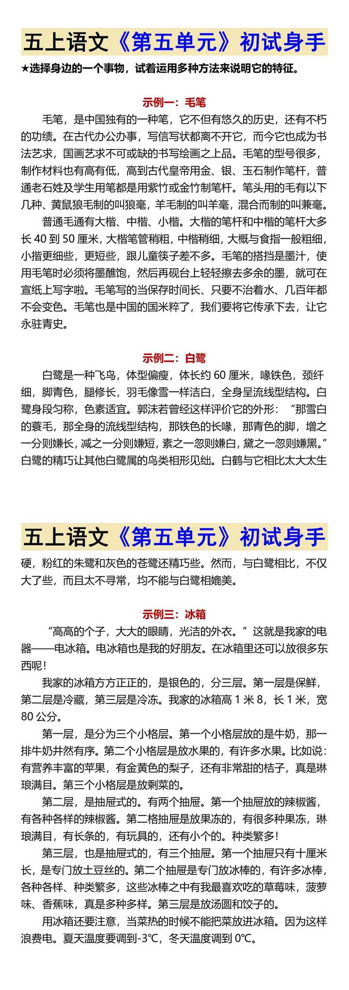 五上语文《第五单元》初试身手