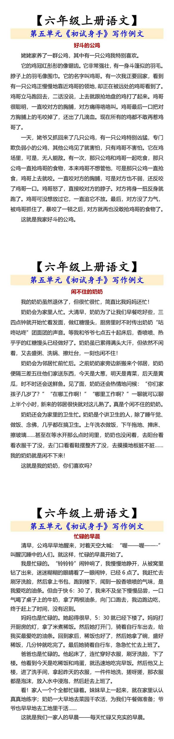 【六年级上册语文】 第五单元《初试身手》写作例文