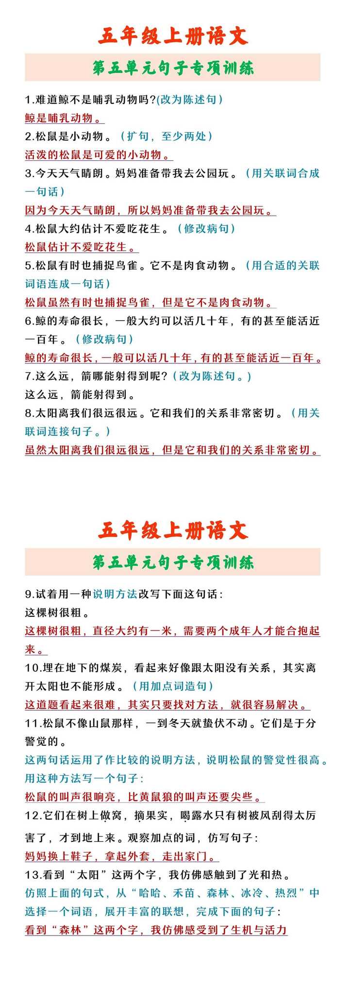 五年级上册语文 第五单元句子专项训练