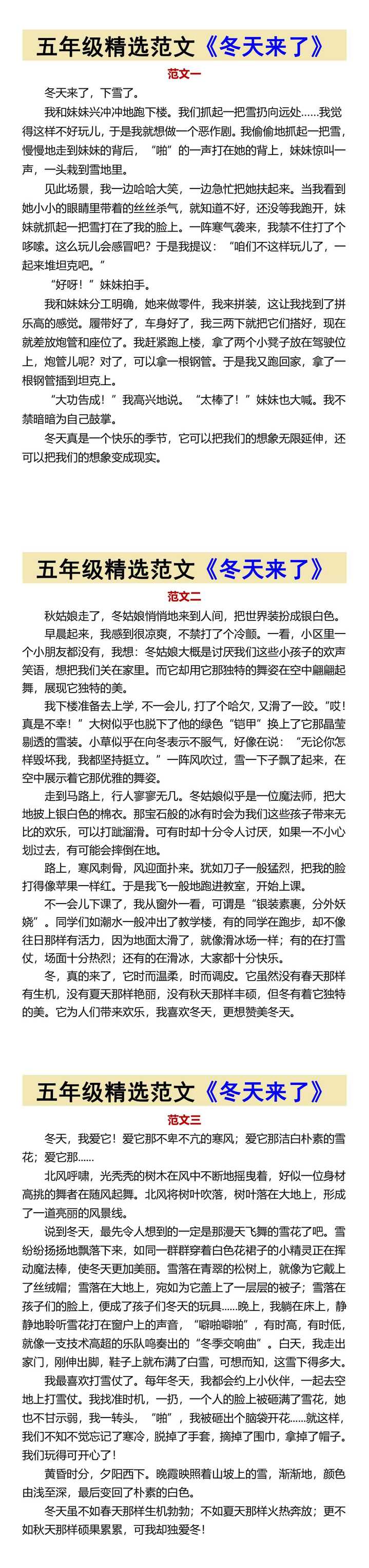 五年级精选范文《冬天来了》
