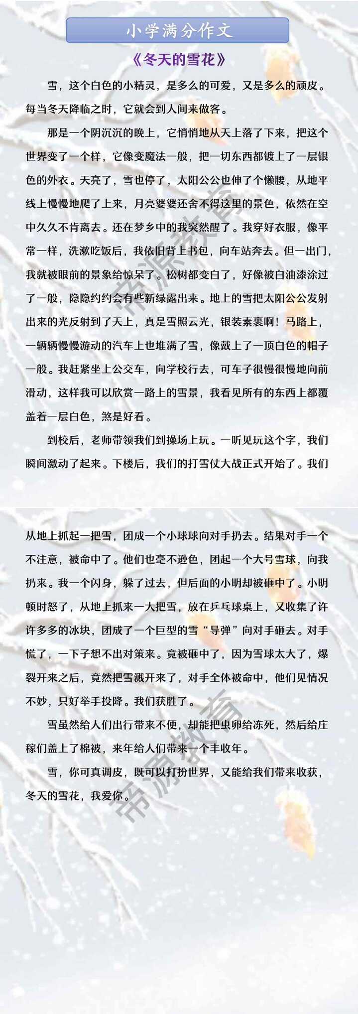 小学满分作文 《冬天的雪花》