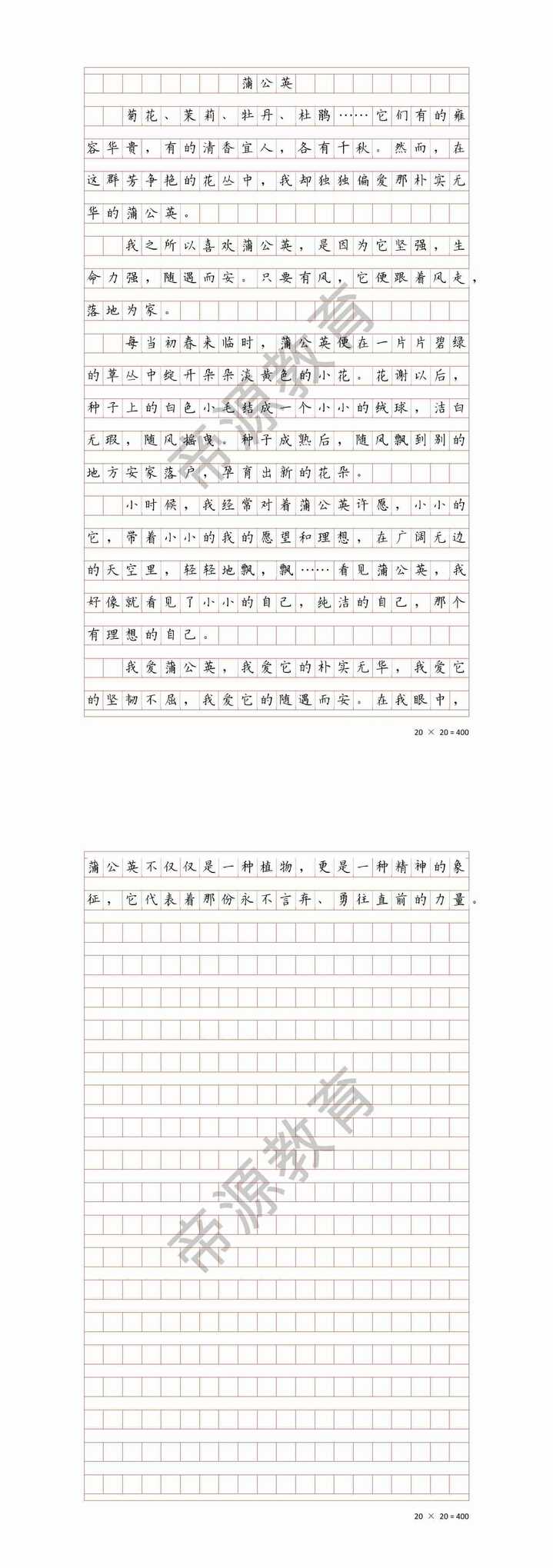 三年级 | 我的植物朋友作文，300字