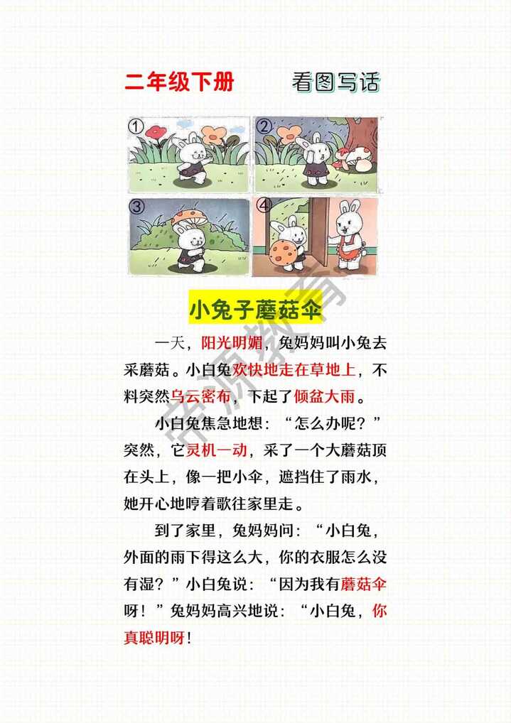 看图写话优秀范文《小兔子蘑菇伞》