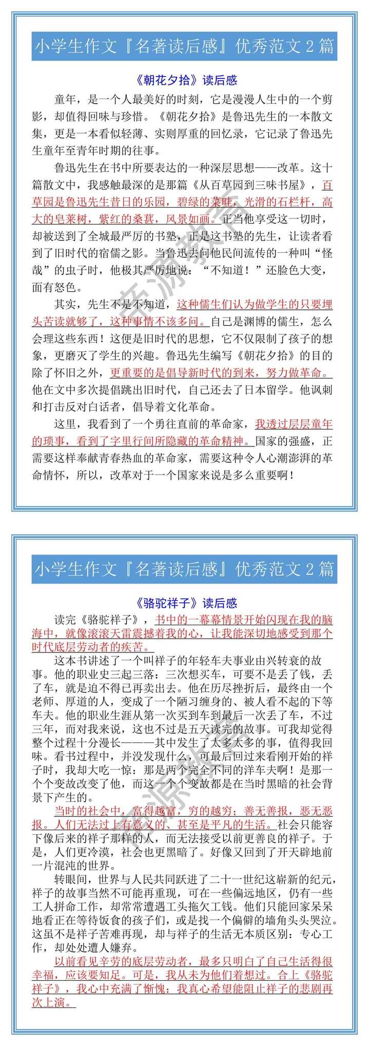 小学生作文『名著读后感』优秀范文2篇