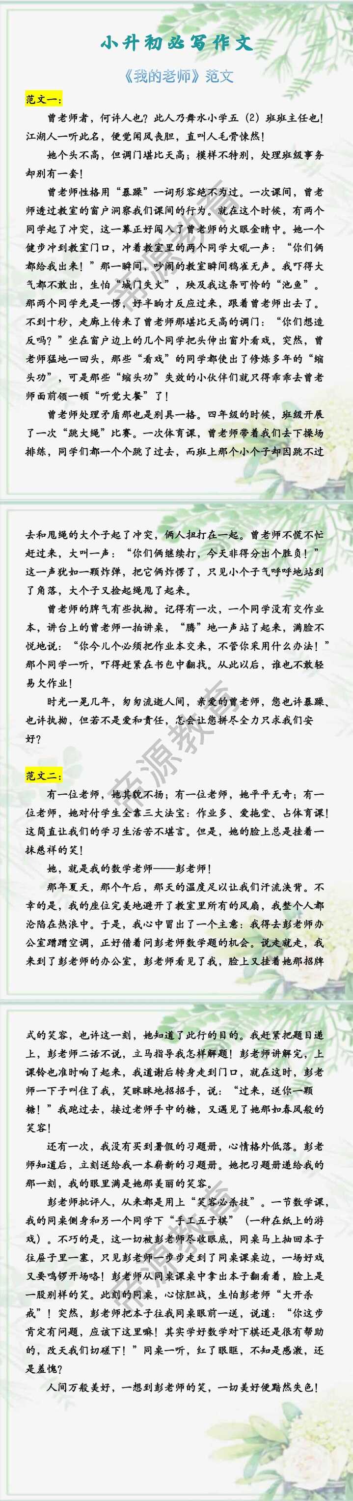 小升初必写作文 《我的老师》范文