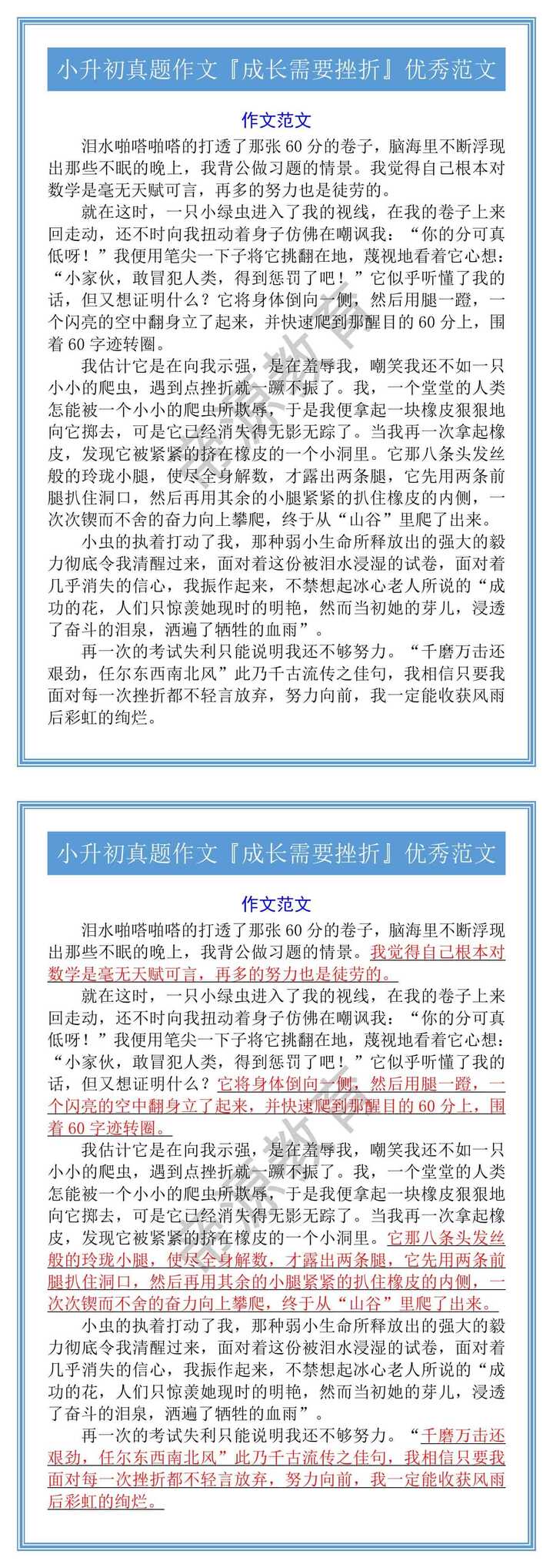 小升初真题作文『成长需要挫折』优秀范文