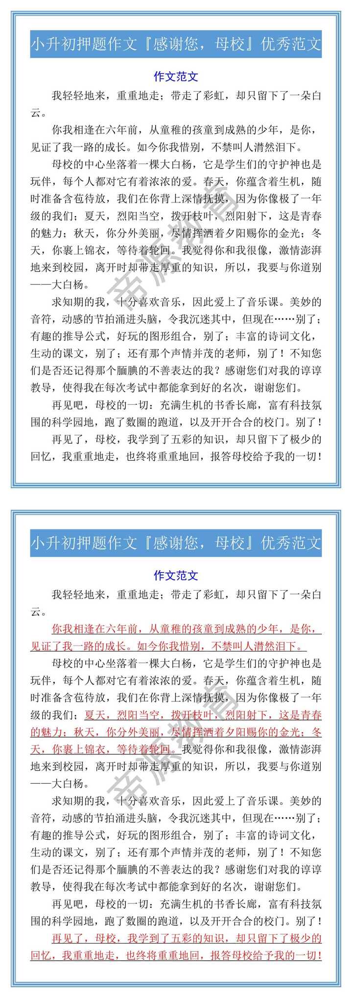 小升初押题作文『感谢您，母校』优秀范文