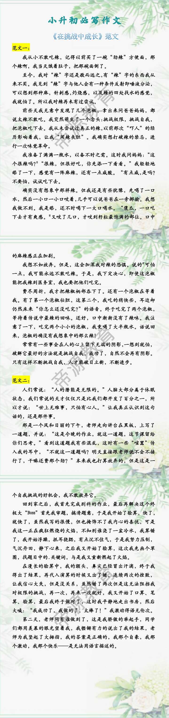 小升初必写作文 《在挑战中成长》范文