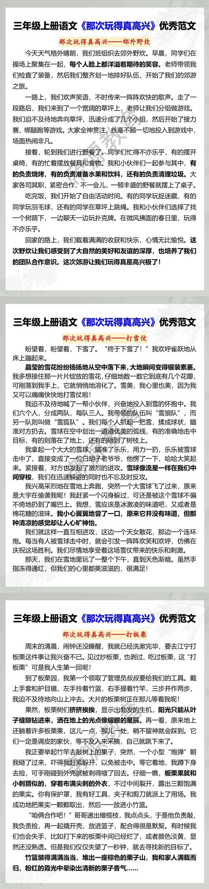 三年级上册语文《那次玩得真高兴》优秀范文