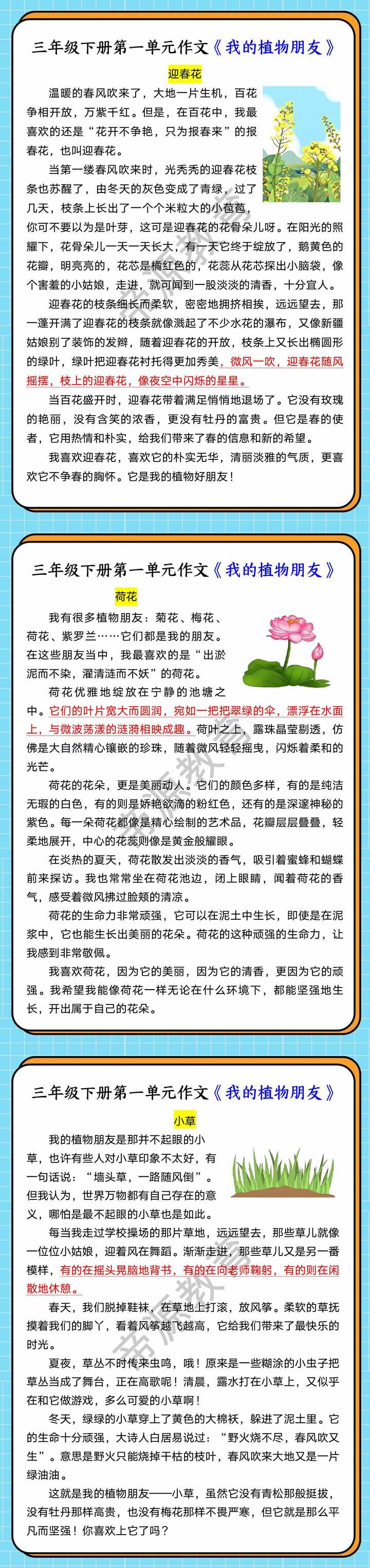 三年级下册第一单元作文《我的植物朋友》