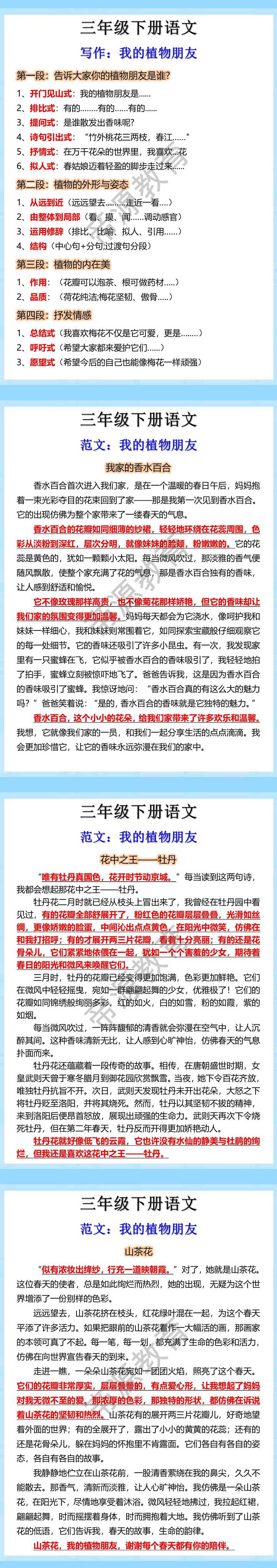 三年级下册语文我的植树朋友习作指导及范文