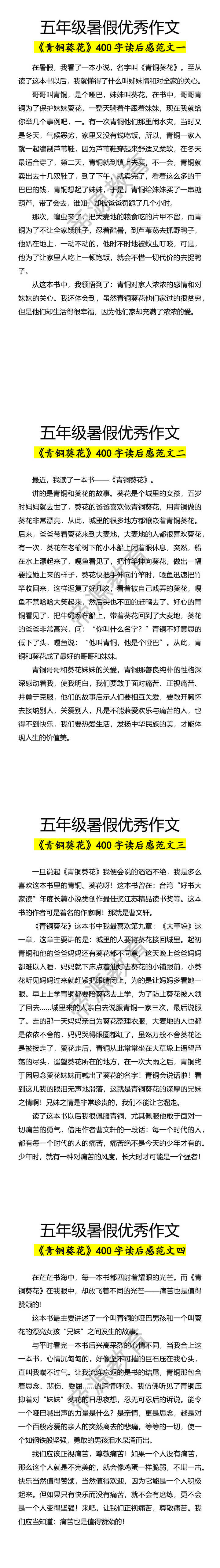 五年级暑假优秀作文《青铜葵花》400字读后感范文4篇