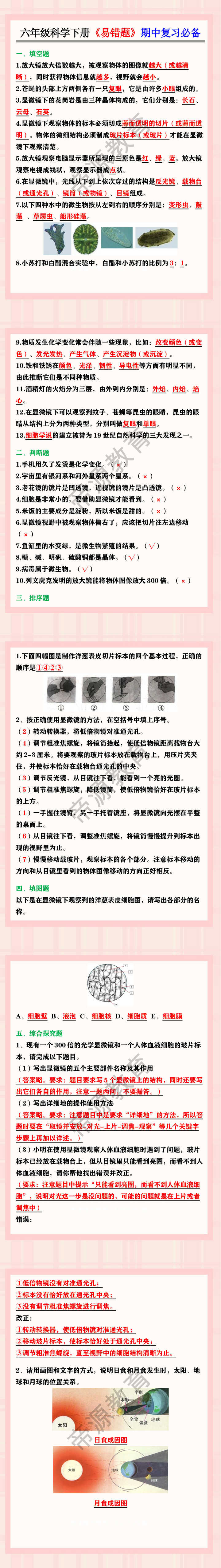 六年级科学下册《易错题》期中复习必备