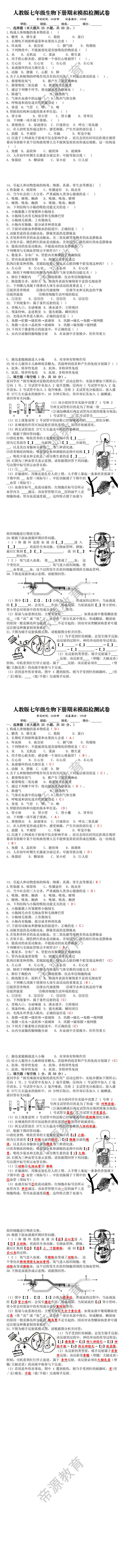 人教版七年级生物下册期末模拟检测试卷