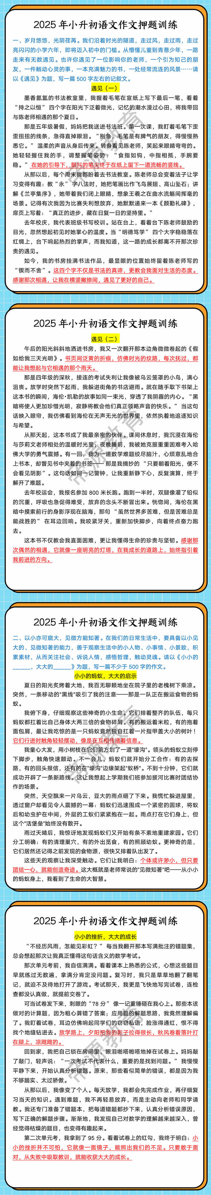 2025年小升初语文作文押题训练