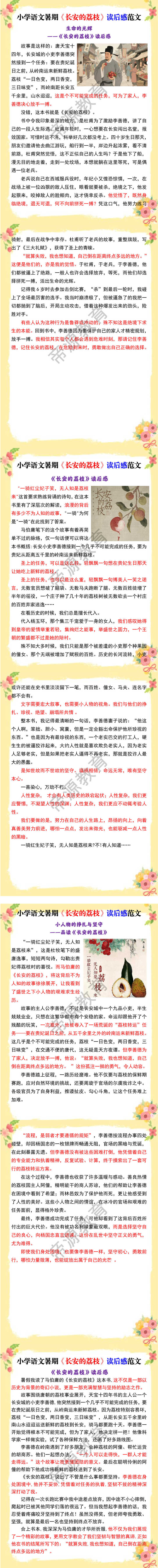 小学语文暑期《长安的荔枝》读后感范文