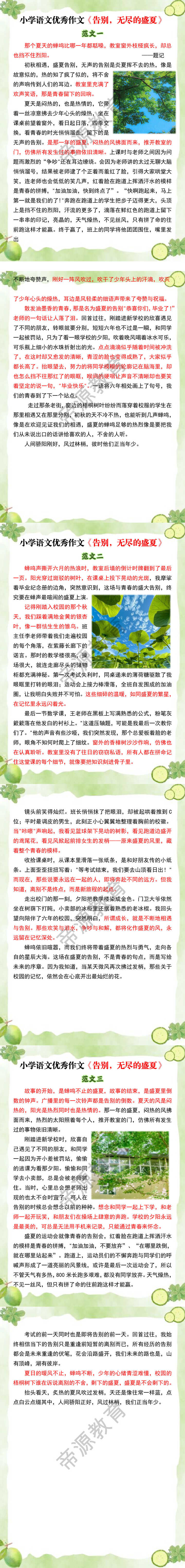 小学语文优秀作文《告别，无尽的盛夏》