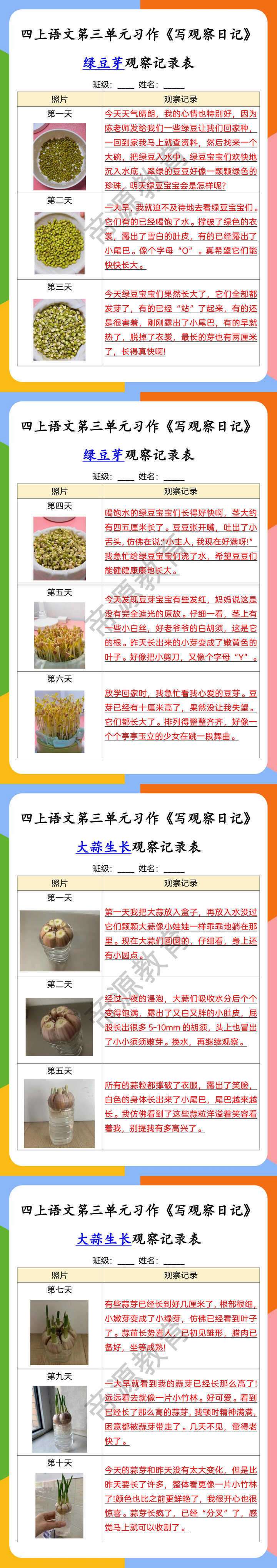 四上语文第三单元习作《写观察日记》 绿豆芽观察记录表
