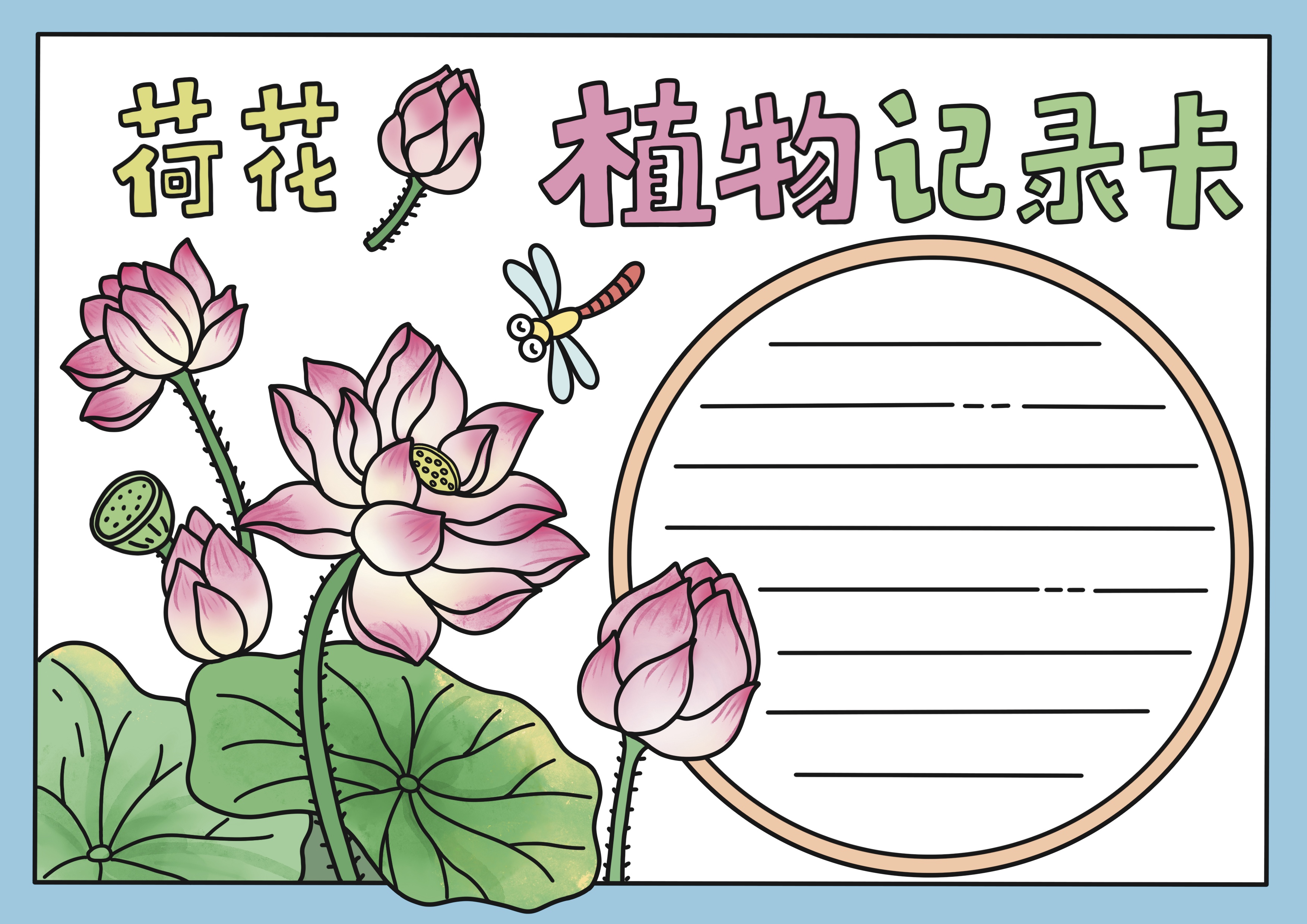 荷花植物记录卡主题手抄报