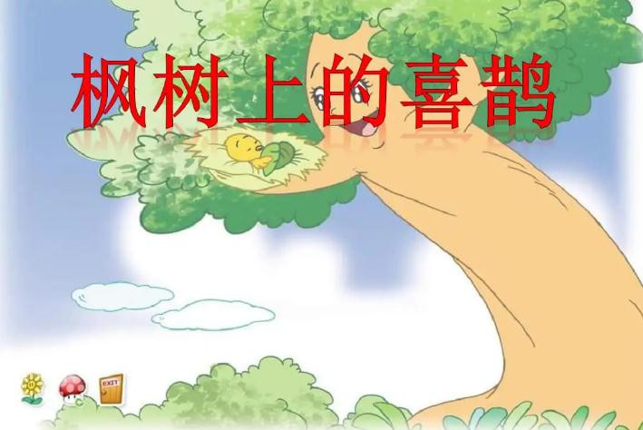 枫树上的喜鹊